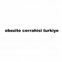 obezite cerrahisi turkiye
