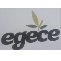 egece