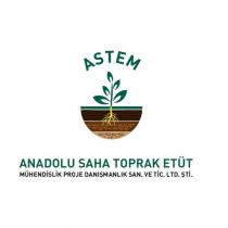astem anadolu saha toprak etüt mühendislik proje danışmanlık san.ve tic.ltd.şti.