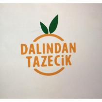dalından tazecik
