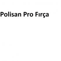 polisan pro fırça