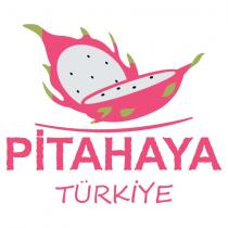 pitahaya turkiye