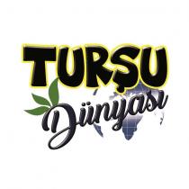 turşu dünyası
