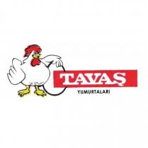 tavaş yumurtaları