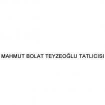 mahmut bolat teyzeoğlu tatlıcısı