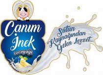 canım inek tereyağı sütün kaynağından gelen lezzet