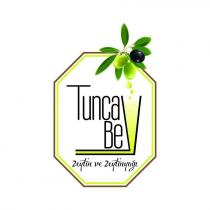 tuncay bey zeytin ve zeytinyağı