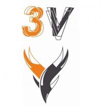 3v