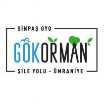 sinpaş gyo gökorman şile yolu-ümraniye
