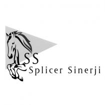 ss splicer sinerji