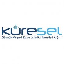 küresel gümrük müşavirliği ve lojistik hizmetleri a.ş.