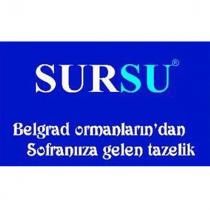 sursu belgrad ormanları'ndan sofralarınıza gelen tazelik