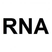 rna