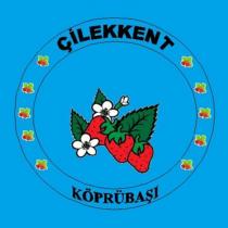 çilekkent köprübaşı