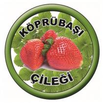 köprübaşı çileği