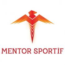 mentor sportif