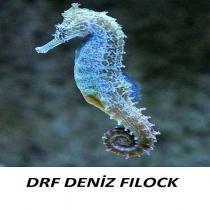 drf deniz filock