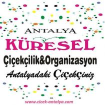 antalya küresel çiçekçilik ve organizasyon antalyadaki çiçekçiniz