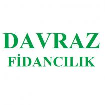 davraz fidancılık