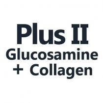 plus ii glucosamine + collagen