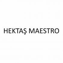 hektaş maestro
