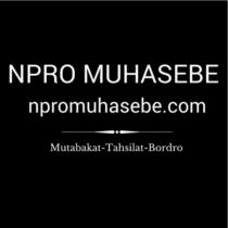 npro muhasebe npromuhasebe.com mutakabat tahsilat bordro