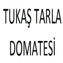 tukaş tarla domatesi
