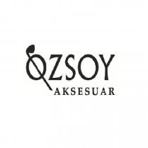 özsoy aksesuar
