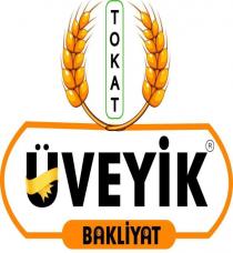 tokat üveyik bakliyat