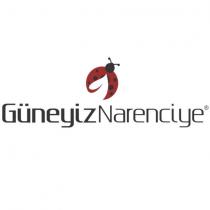 güneyiz narenciye