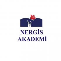 nergis akademi