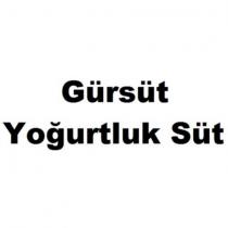 gürsüt yoğurtluk süt