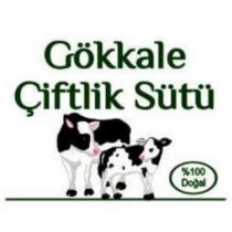gökkale çiftlik sütü %100 doğal