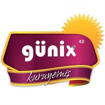 günix 43 kuruyemiş