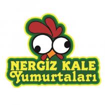 nergiz kale yumurtaları