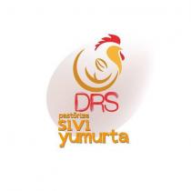 drs pastörize sıvı yumurta