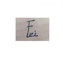 fzi