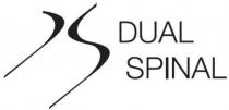 dual spinal