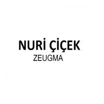 nuri çiçek zeugma