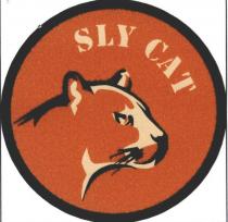 sly cat