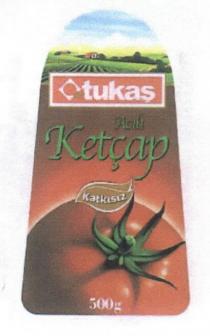 tukaş acılı ketçap katkısız