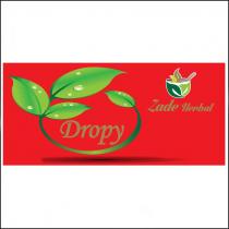 dropy zade herbal