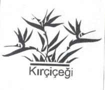 kırçiçeği
