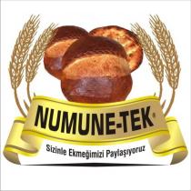 numune-tek sizinle ekmeğimizi paylaşıyoruz