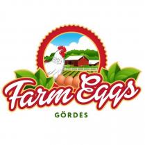 farm eggs gördes