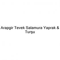 arapgir tevek salamura yaprak & turşu