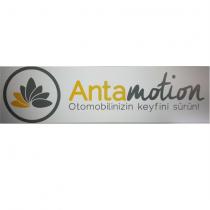 antamotion otomobilinizin keyfini sürün!