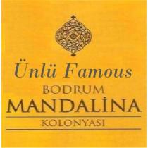 ünlü famous bodrum mandalina kolonyası