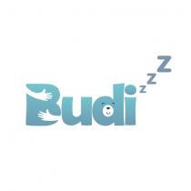 budi zzz