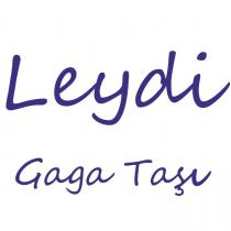 leydi gaga taşı